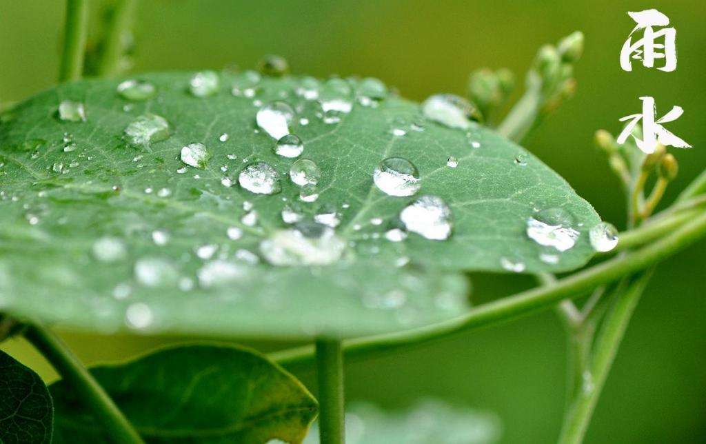 雨水！